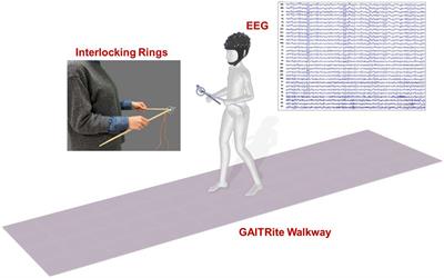 Dual-task walking improvement with enhanced kinesthetic awareness in Parkinson’s disease with mild gait impairment: EEG connectivity and clinical implication